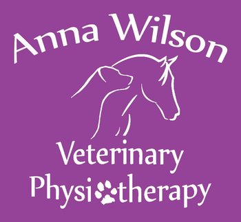 Anna Wilson Veterinary Physiotherapy - Veterinarians in Chichester, West Sussex - Local Business Directory