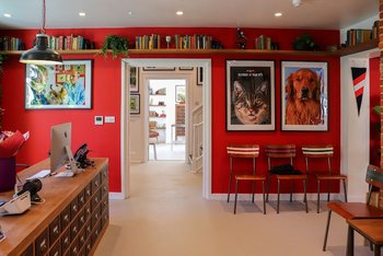 Arun Veterinary Group Chichester - Veterinarians in Chichester, West Sussex - Local Business Directory