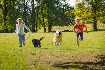 Arun Veterinary Group Westergate - Veterinarians in Chichester, West Sussex - Local Business Directory
