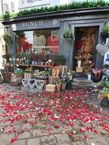 Bunch florist chichester - Florists in Chichester, West Sussex - Local Business Directory