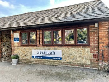 Chichester Vets - Veterinarians in Chichester, West Sussex - Local Business Directory