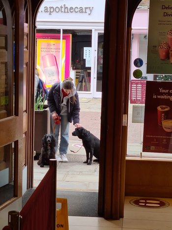 Costa Coffee - Cafes in Chichester, West Sussex - Local Business Directory