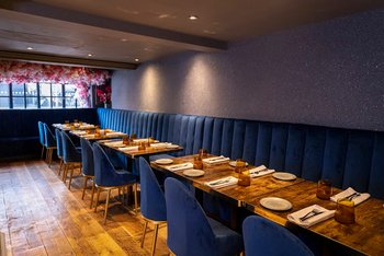 Jungle Junction - Nightclubs in Chichester, West Sussex - Local Business Directory