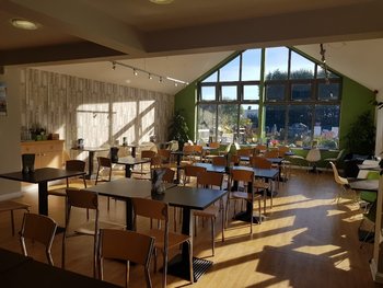 Mulberry & Thyme Chichester - Cafes in Chichester, West Sussex - Local Business Directory