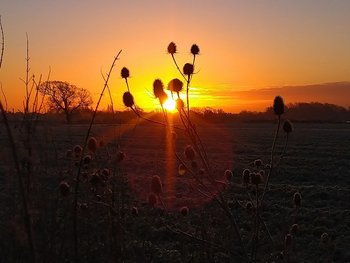 Scarterfield - Veterinarians in Chichester, West Sussex - Local Business Directory