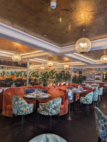 The Ivy Chichester - Nightclubs in Chichester, West Sussex - Local Business Directory